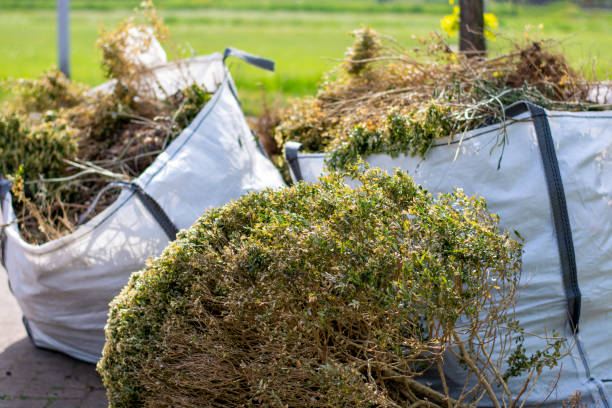 Best Construction Debris Removal  in Raven, VA